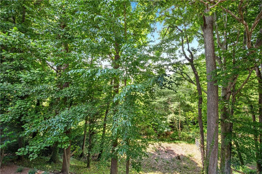 4373 Dunmore Road Ne Property Photo 22