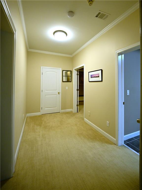 430 Arborshade Trace Property Photo 41
