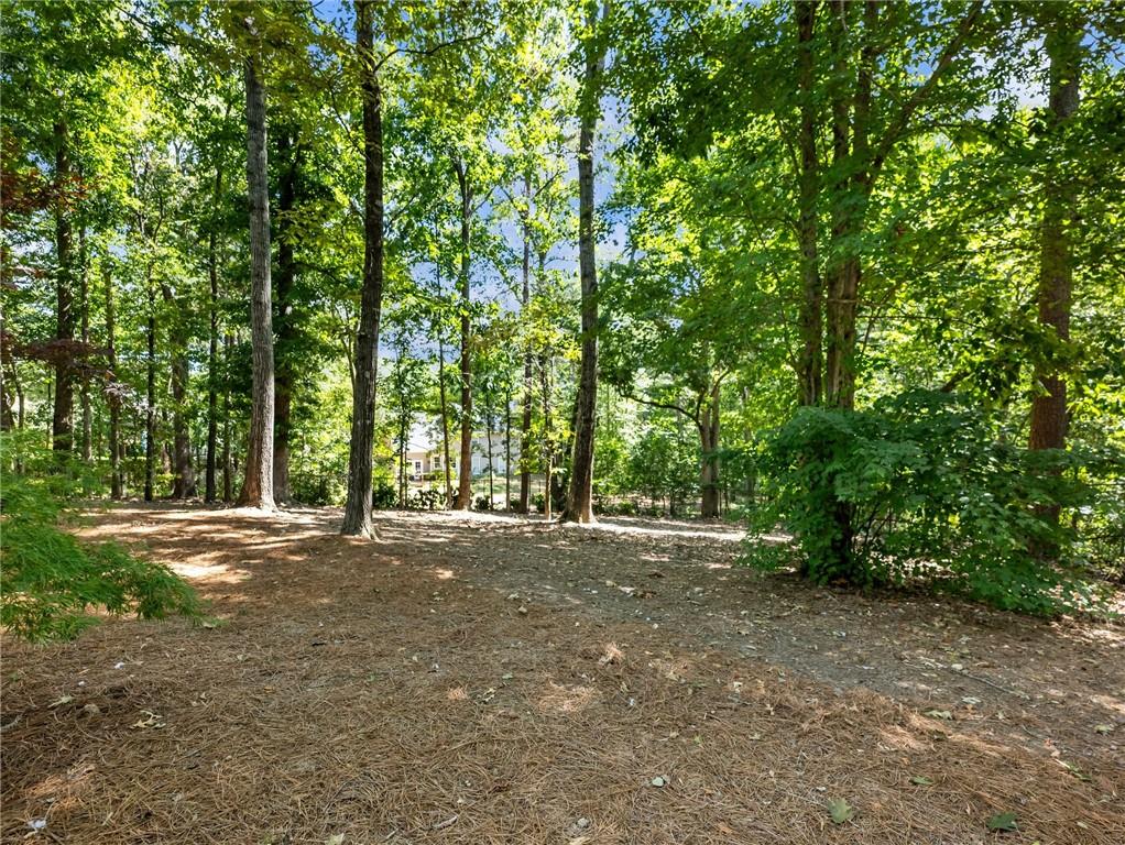 3965 Hamilton View Way Property Photo 76