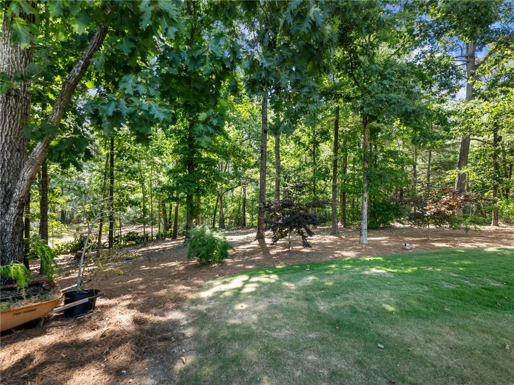3965 Hamilton View Way Property Photo 78