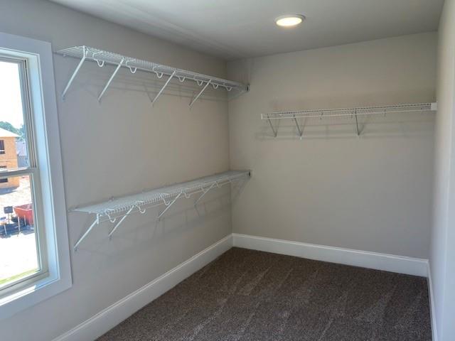 4245 Trinity Oaks Trail Property Photo 16