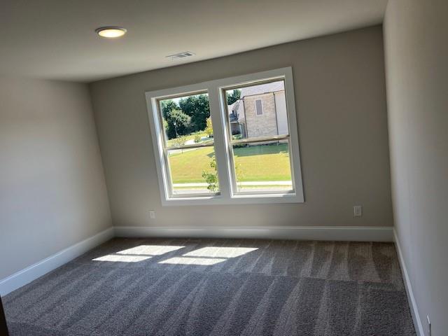 4245 Trinity Oaks Trail Property Photo 21