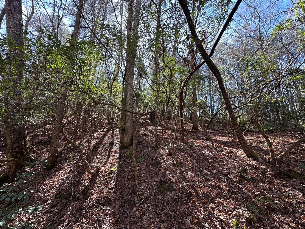 0 Coffee Mill Run Property Photo 5