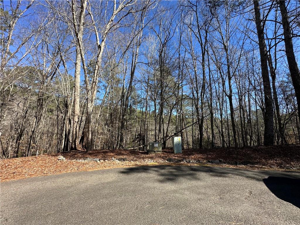 0 Coffee Mill Run Property Photo 6