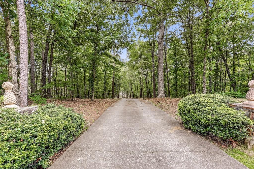 3421 Chestatee Road Property Photo 88