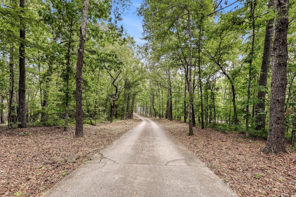 3421 Chestatee Road Property Photo 89