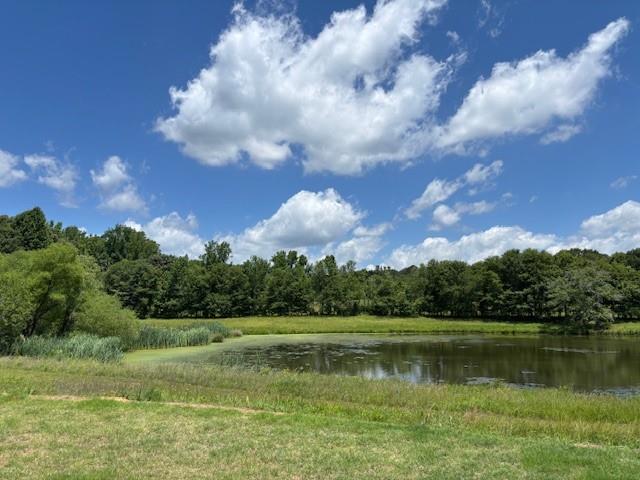 497 Fox Creek Drive Property Photo 28
