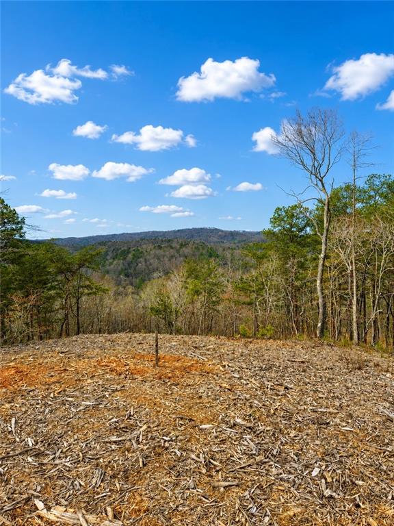 0 Canoe Way Property Photo 2