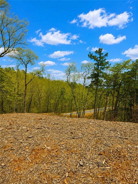 0 Canoe Way Property Photo 16