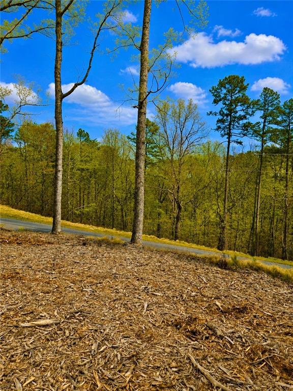0 Canoe Way Property Photo 17