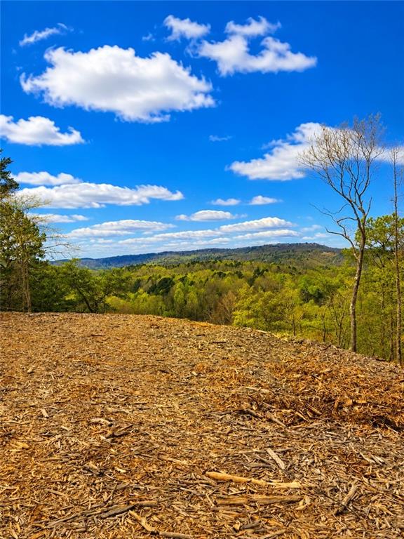0 Canoe Way Property Photo 19