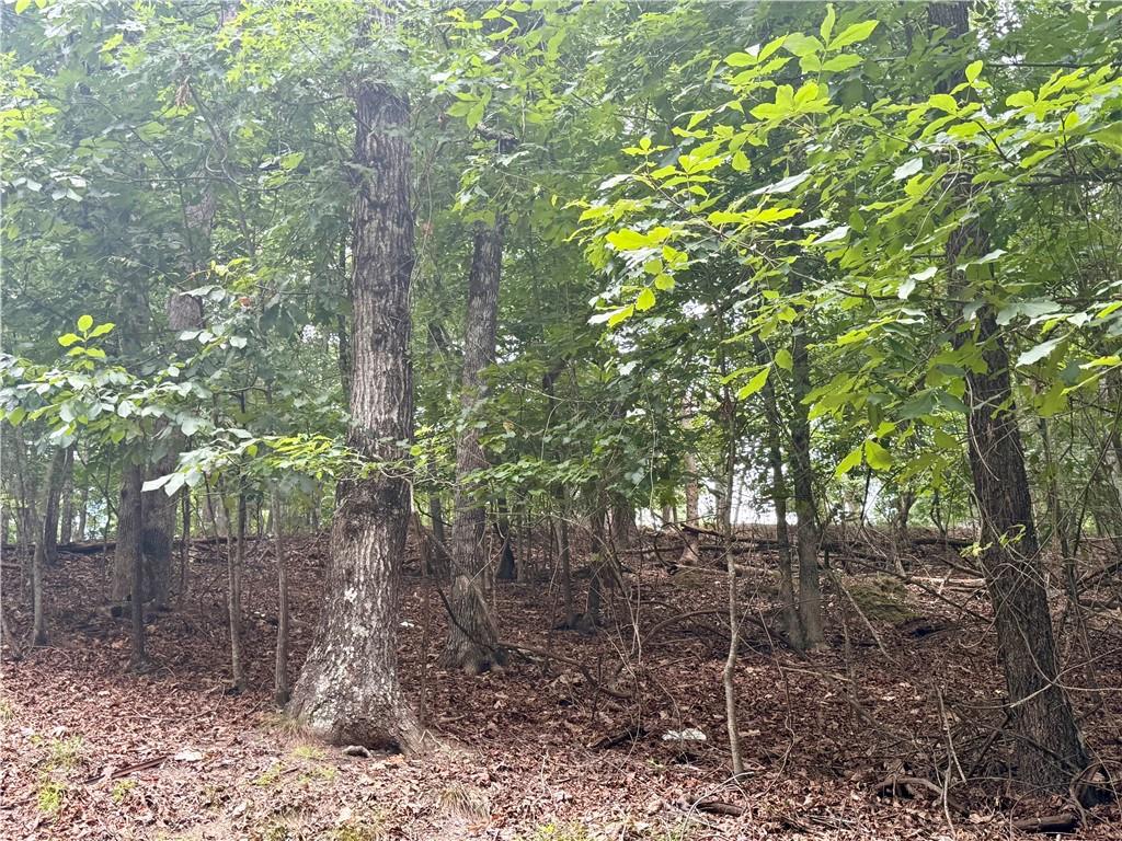 5563 Little River Circle Property Photo 7