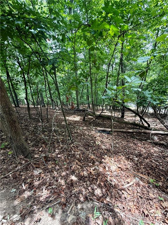 5563 Little River Circle Property Photo 10