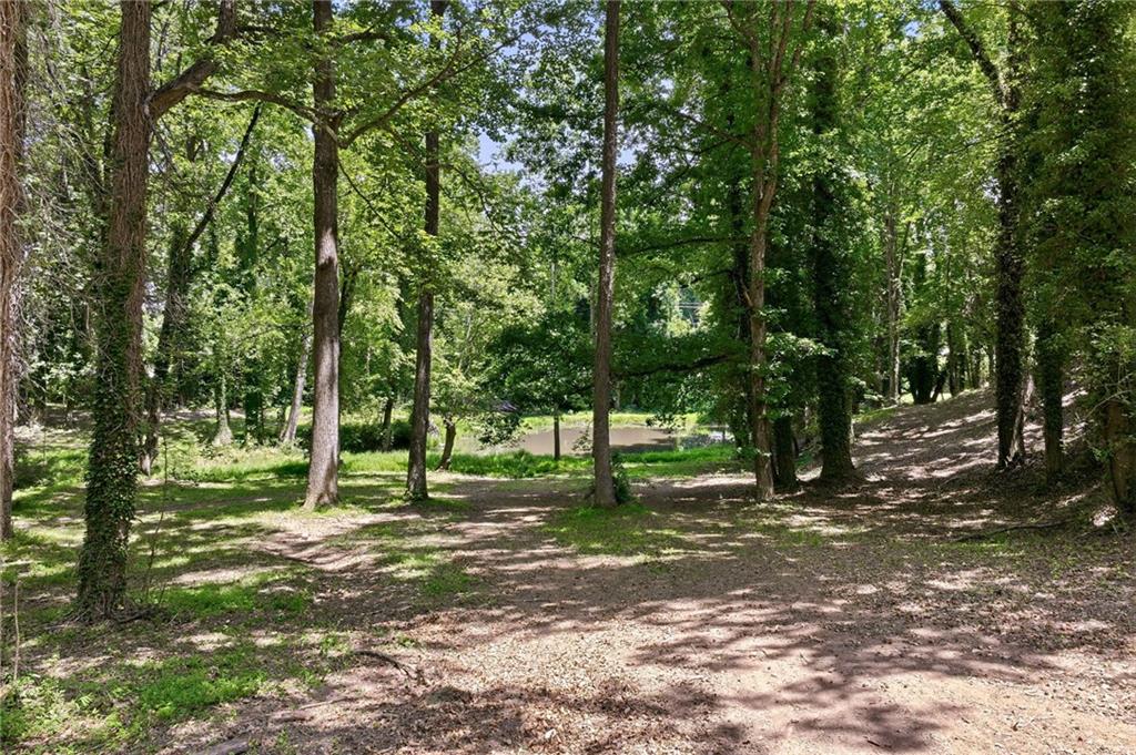 1403 Springdale Road Property Photo 12