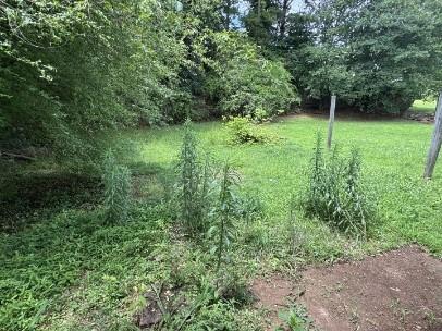 8170 Canyon Forge Drive Property Photo 22