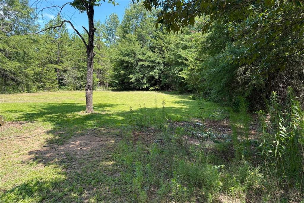 182 Owenby Lane Property Photo 17
