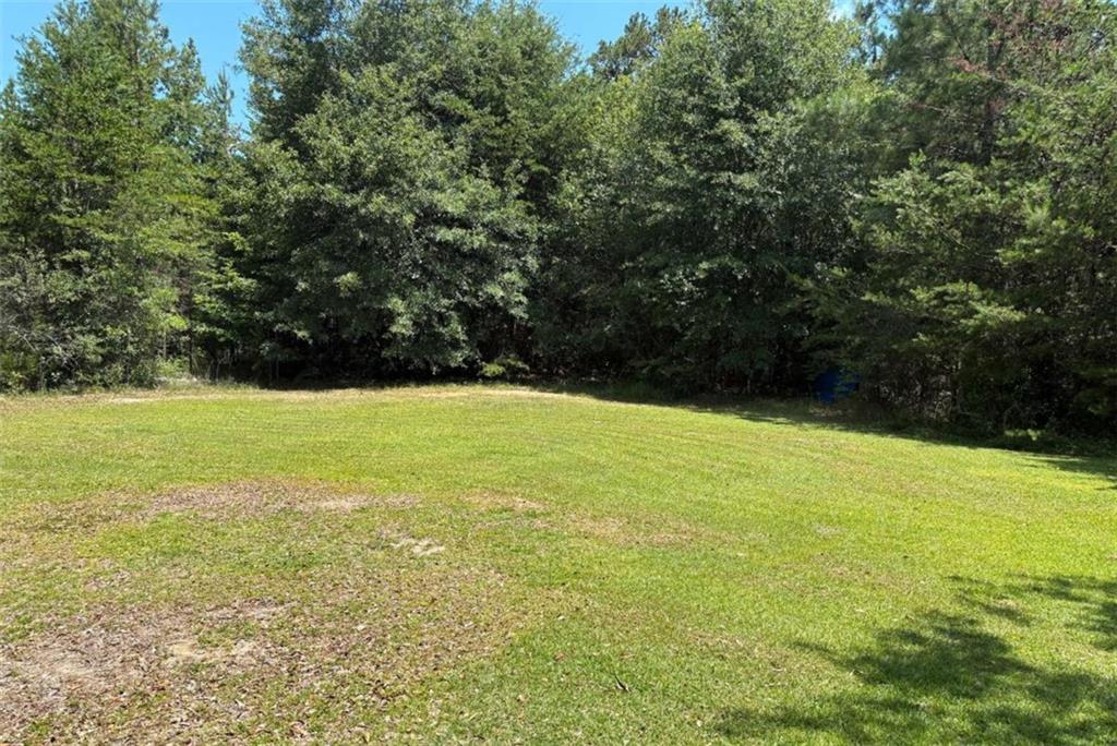 182 Owenby Lane Property Photo 18