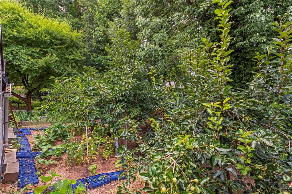 3497 Lori Lane Property Photo 17