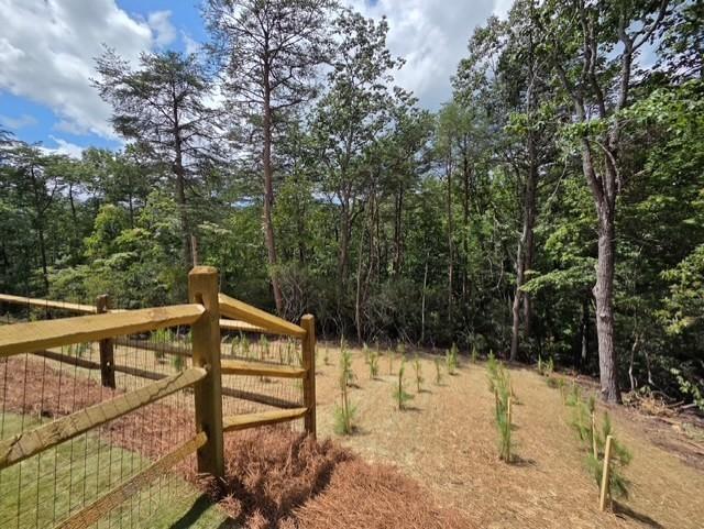 129 Morse Elm Loop Property Photo 15