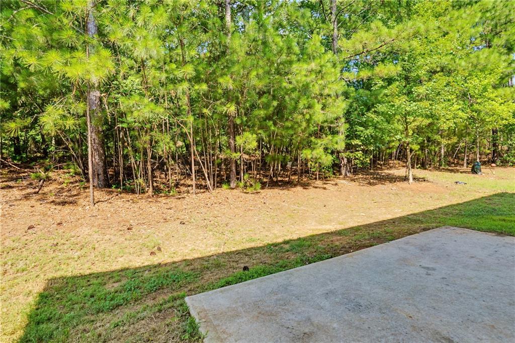 3164 Baylor Circle Property Photo 33