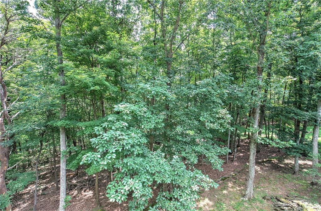 376 Alpine Drive Property Photo 19
