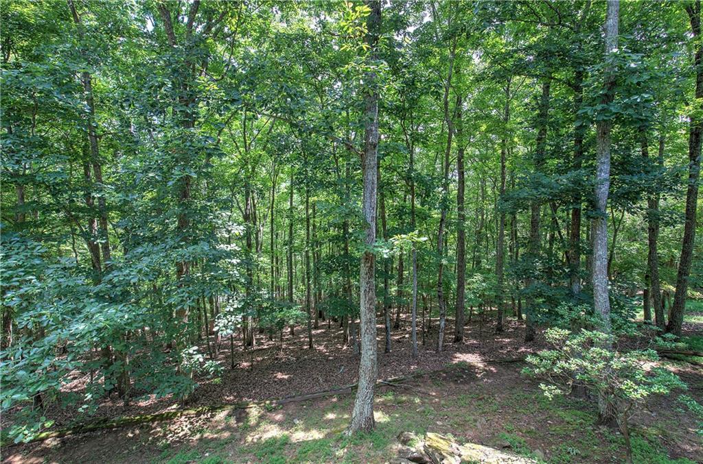 376 Alpine Drive Property Photo 47