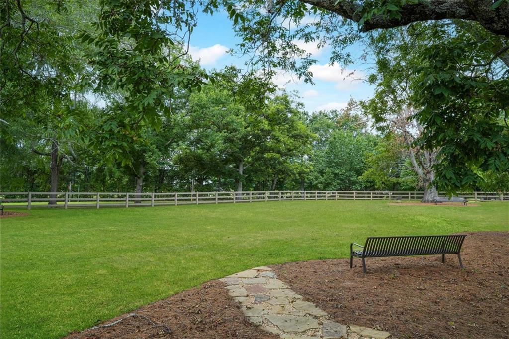 1127 Harmony Bend Property Photo 11