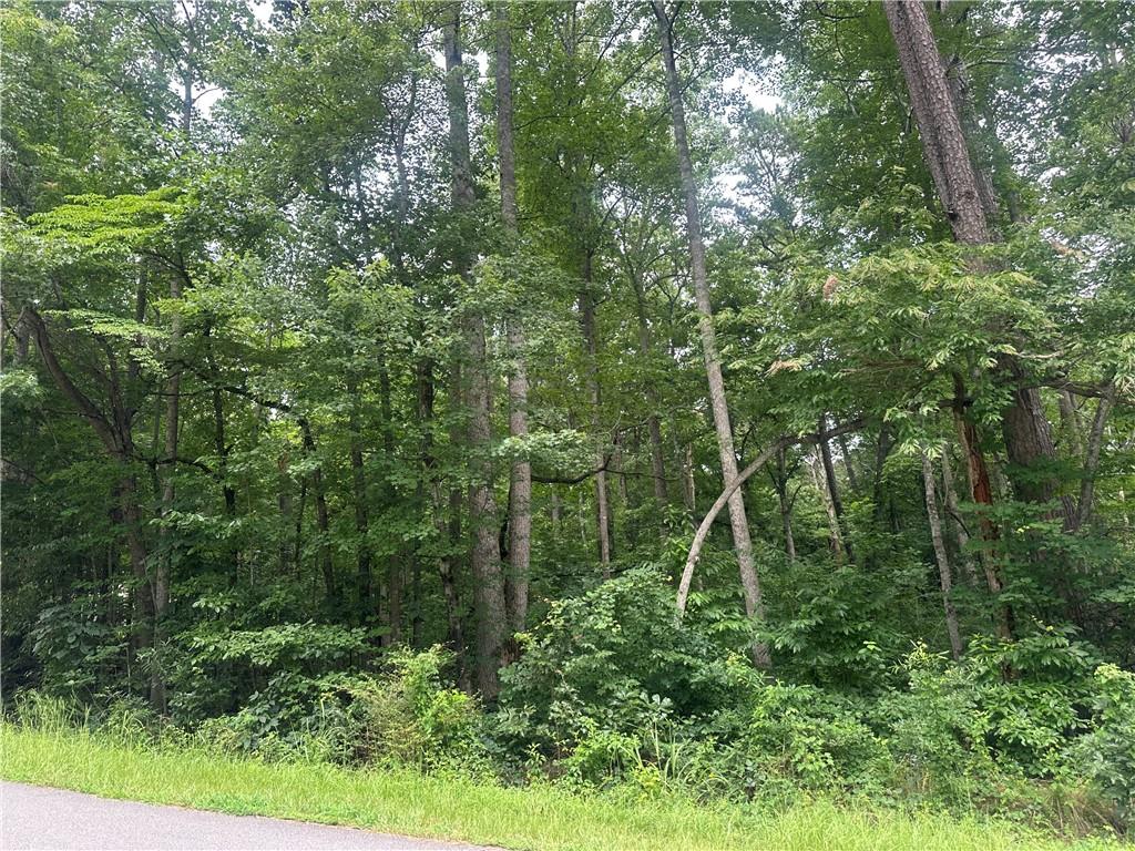 5281 N Forest Boulevard Property Photo 2