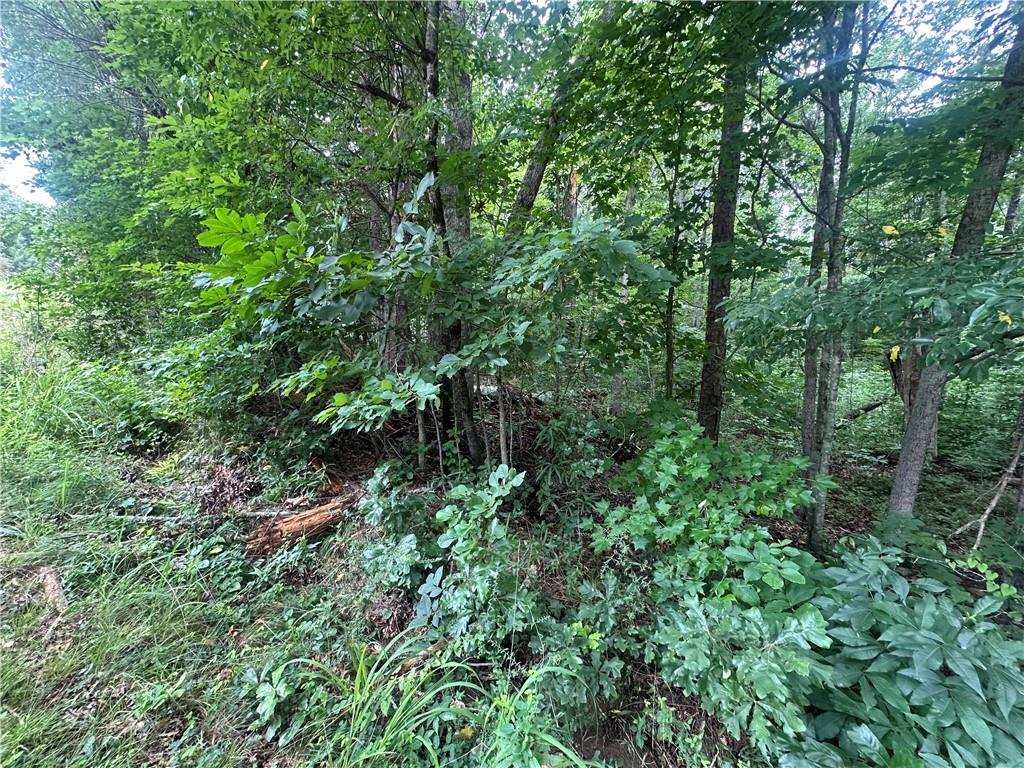 5281 N Forest Boulevard Property Photo 3