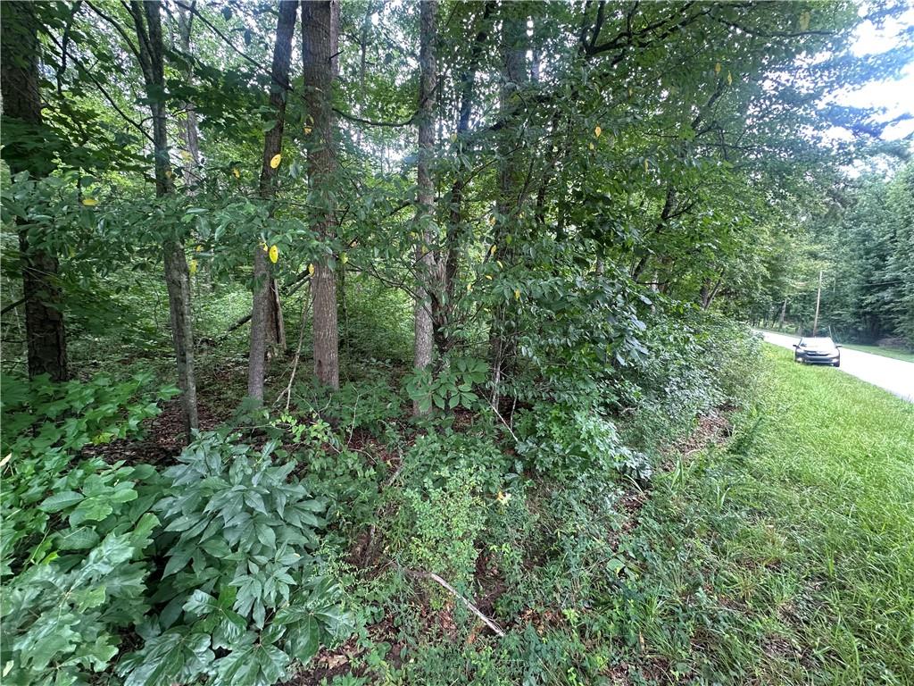 5281 N Forest Boulevard Property Photo 4