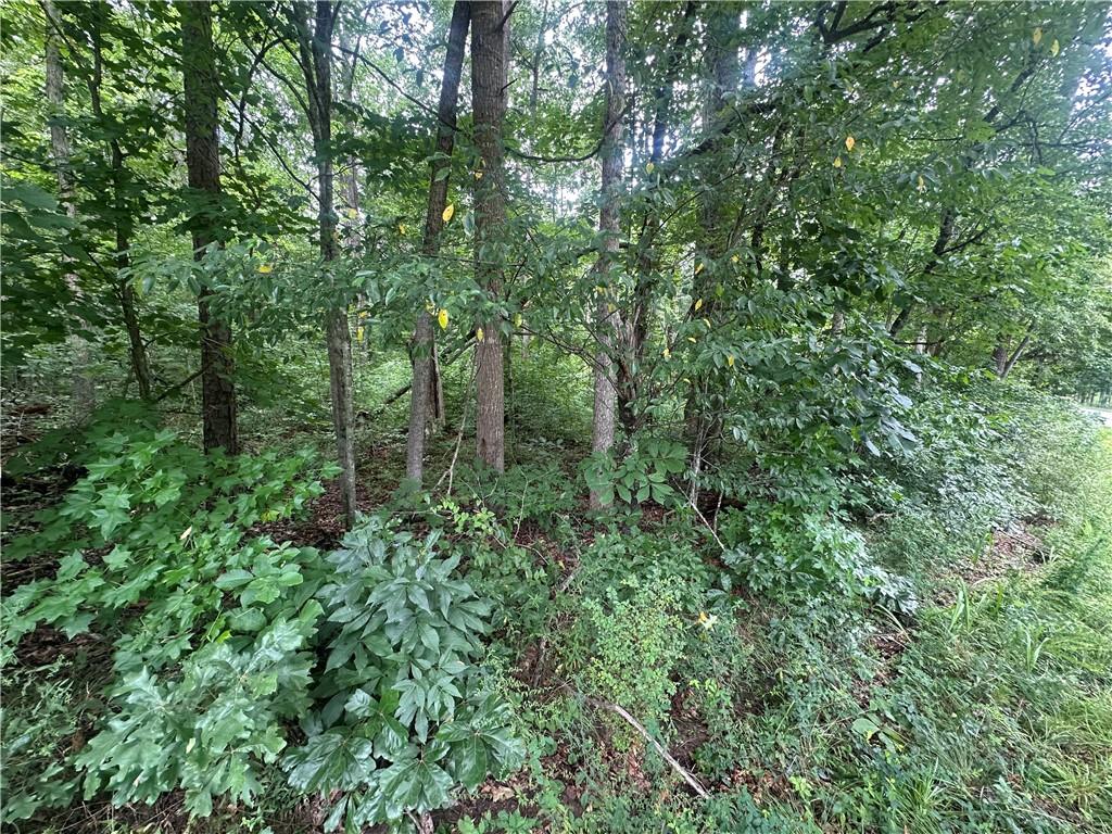 5281 N Forest Boulevard Property Photo 5