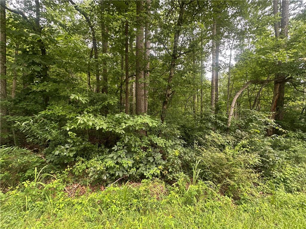 5281 N Forest Boulevard Property Photo 6