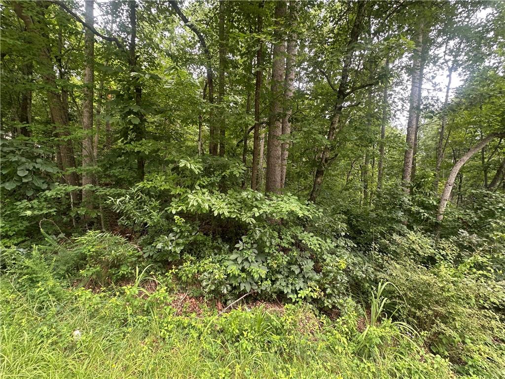 5281 N Forest Boulevard Property Photo 7