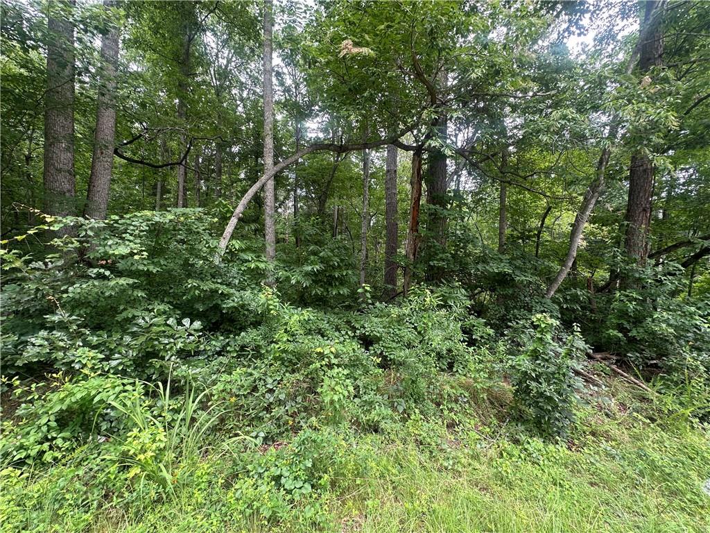 5281 N Forest Boulevard Property Photo 8