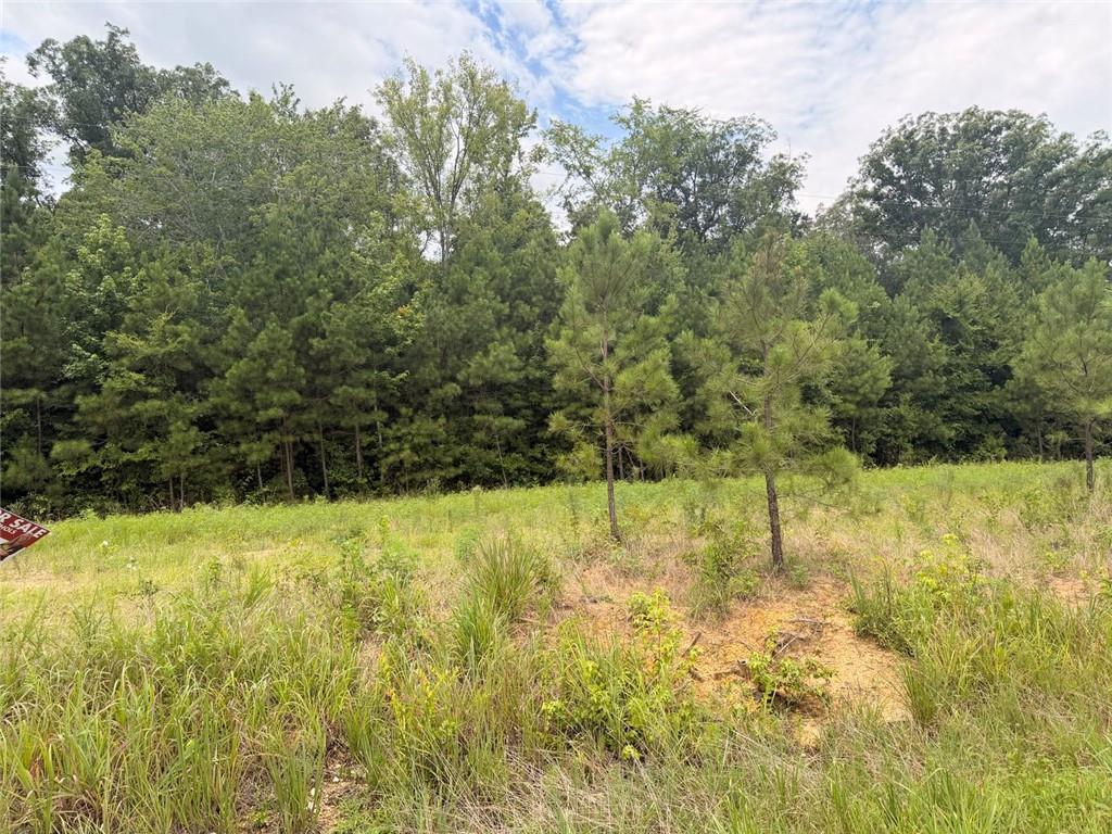 Lot 58 County Road 32 Property Photo 1