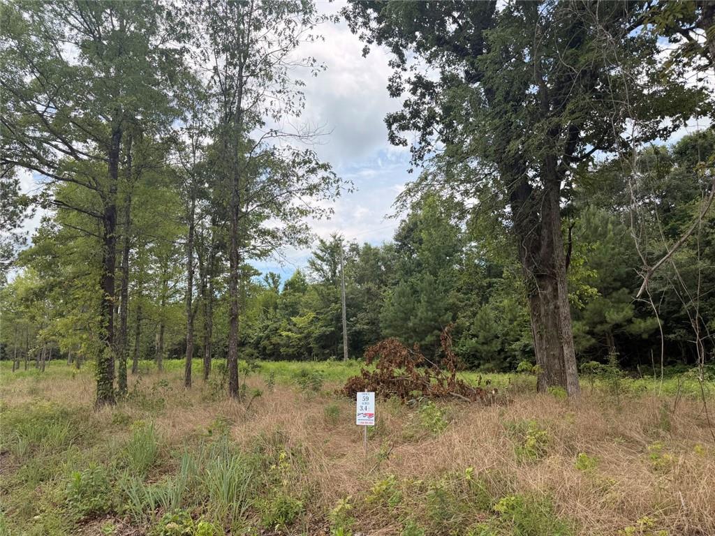Lot 59 County Road 32 Property Photo 1