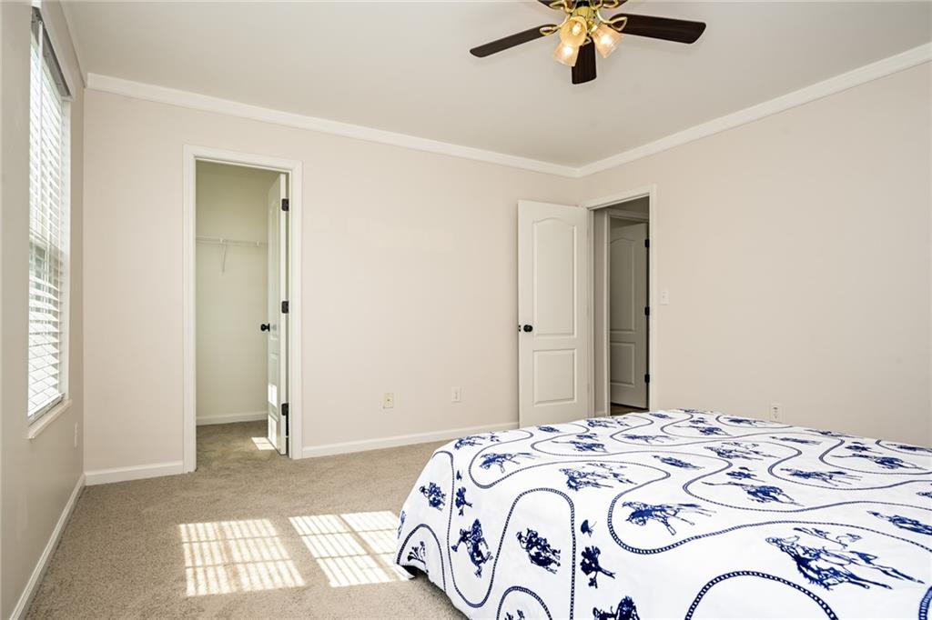 7804965 Property Photo 16