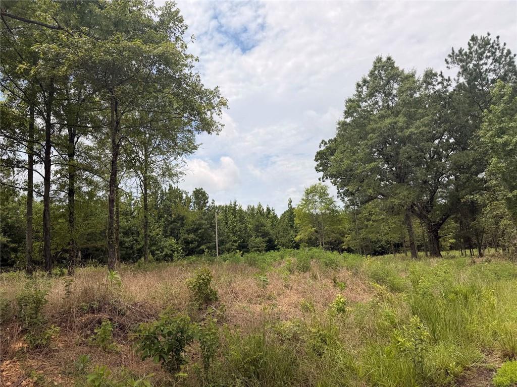 Lot 60 County Road 32 Property Photo 1