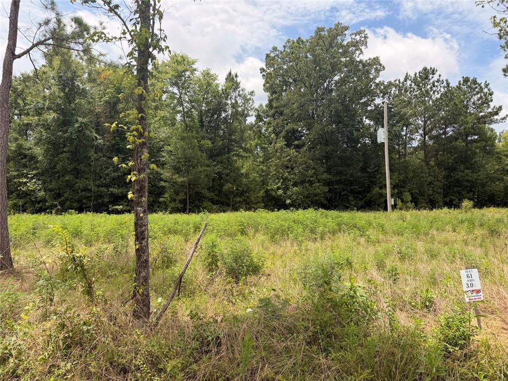Lot 61 County Road 32 Property Photo 1