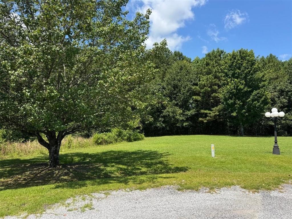 155 County Road 424 Property Photo 2