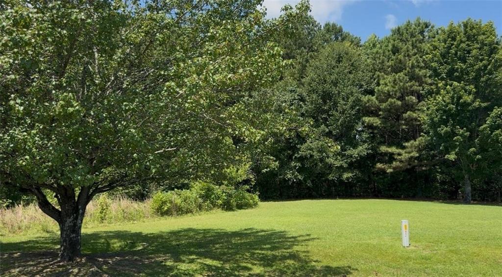 155 County Road 424 Property Photo 3