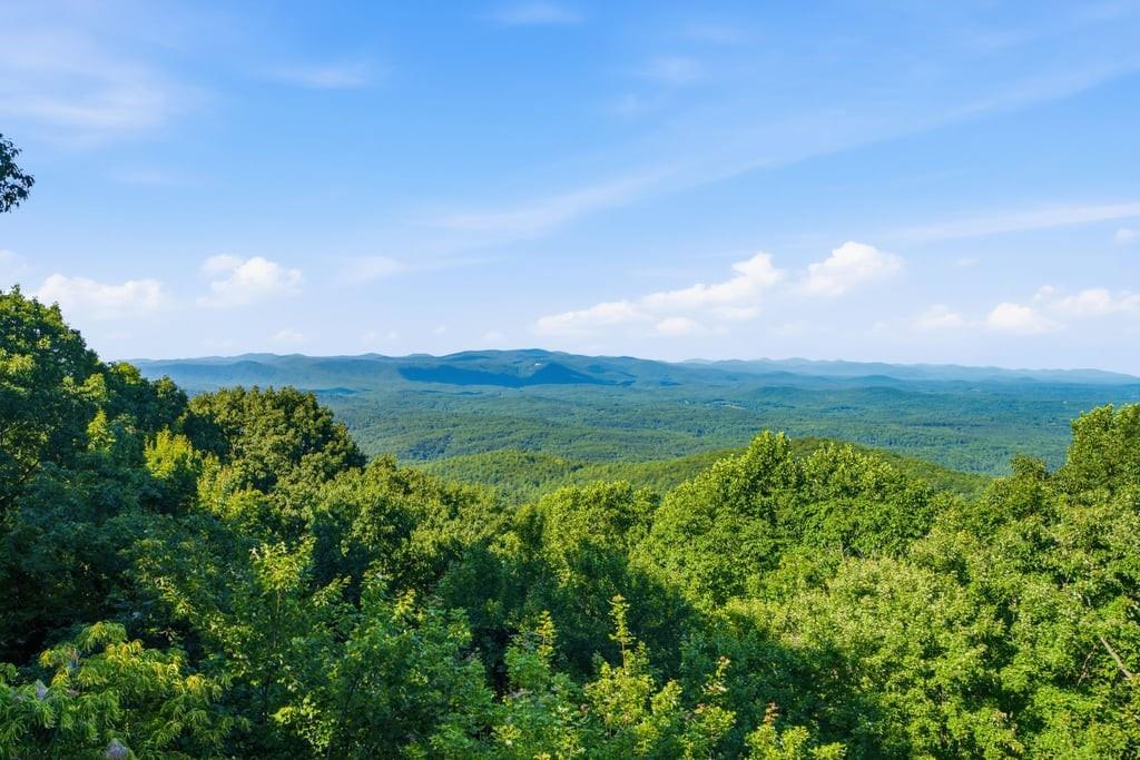 84 Fox Claw Knoll Property Photo 17