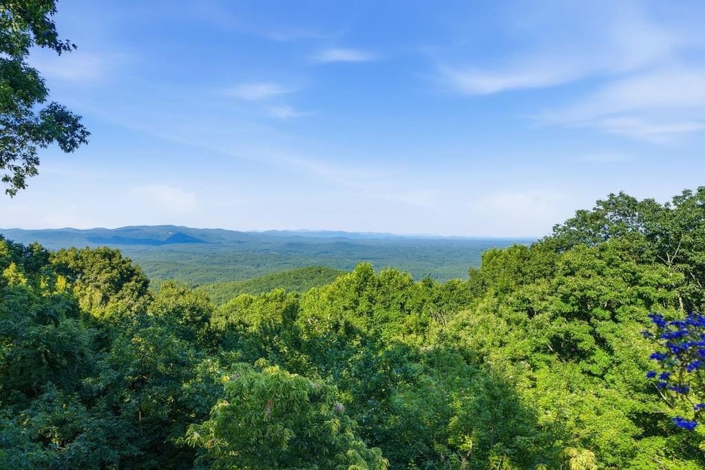 84 Fox Claw Knoll Property Photo 39