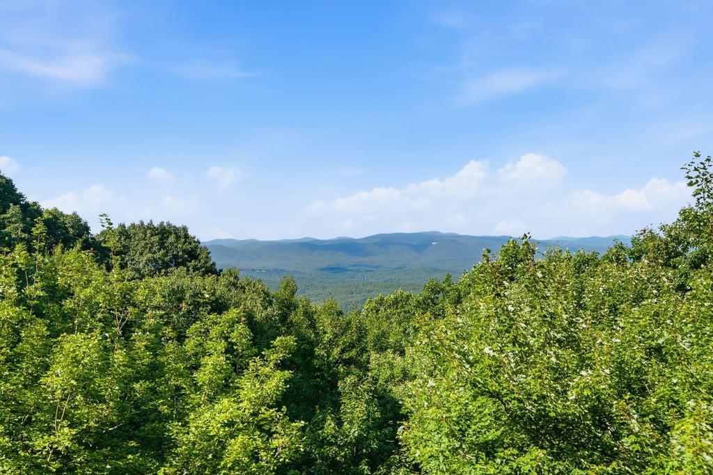 84 Fox Claw Knoll Property Photo 52