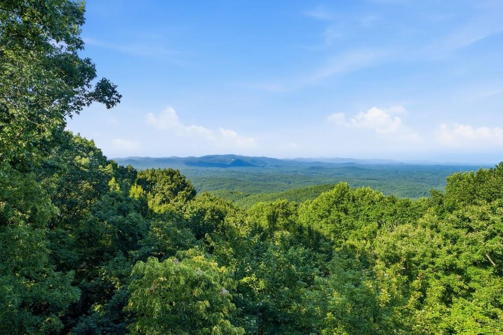 84 Fox Claw Knoll Property Photo 64