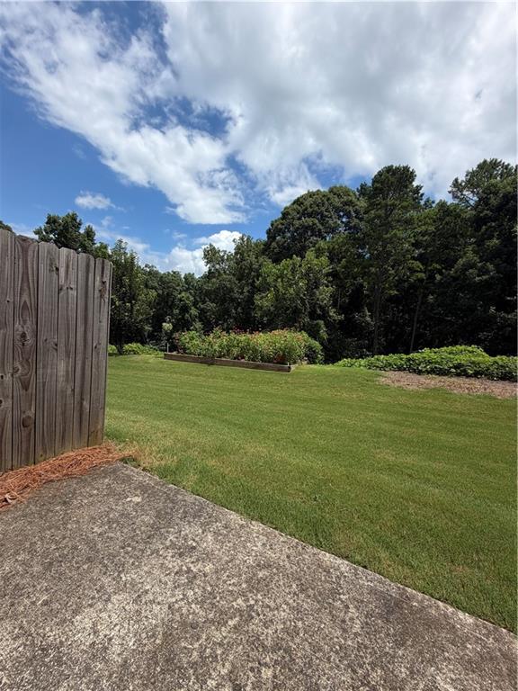 7805990 Property Photo 12