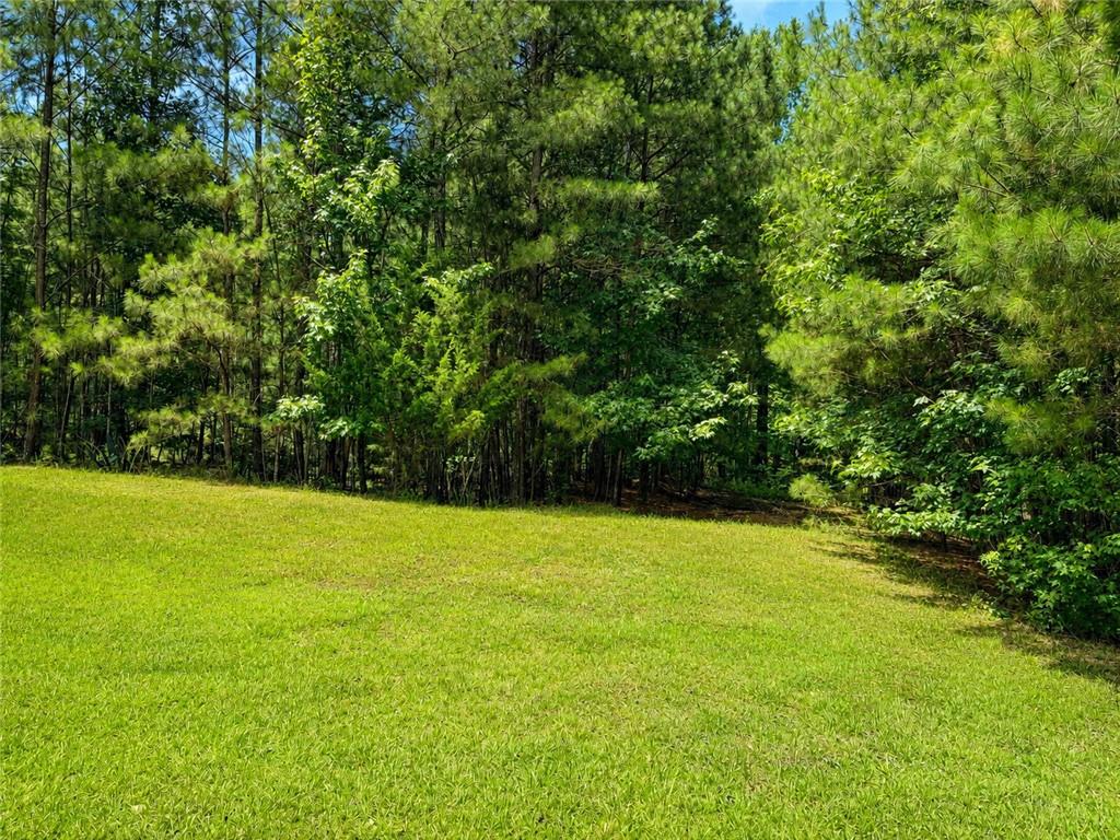 30 Cornish Trace Drive Property Photo 3
