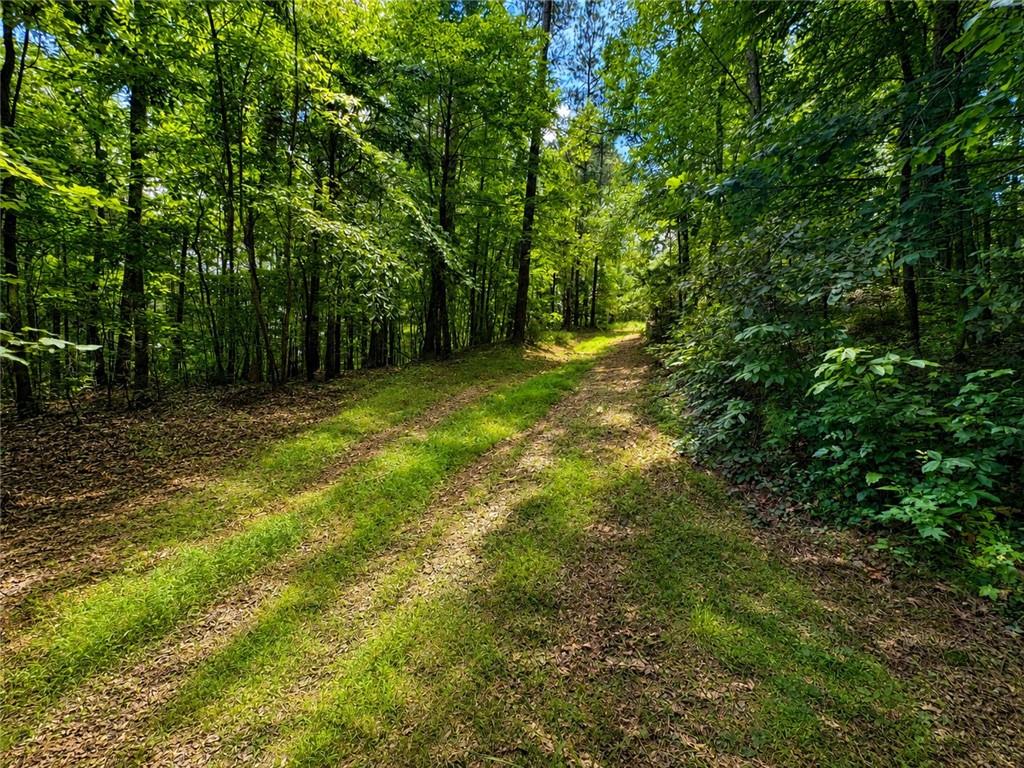 30 Cornish Trace Drive Property Photo 5