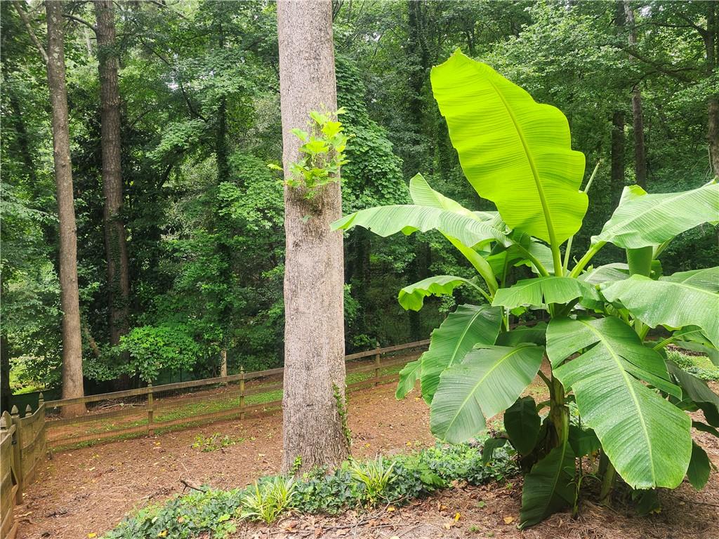 9640 Pine Thicket Way Property Photo 29