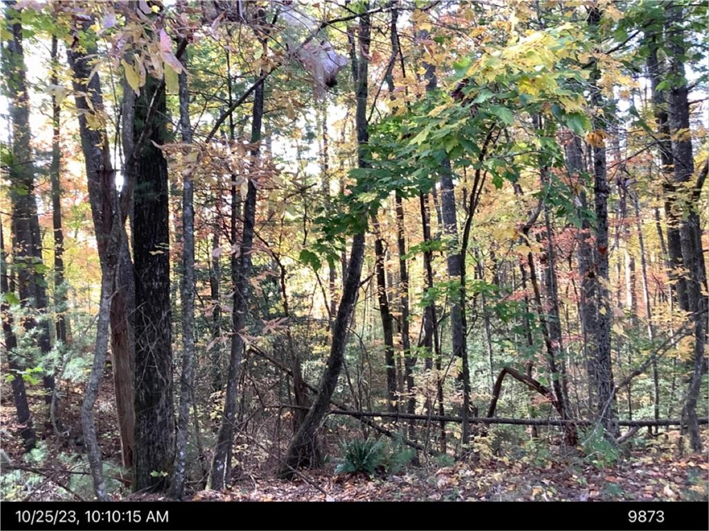 - Andros Court Property Photo 1
